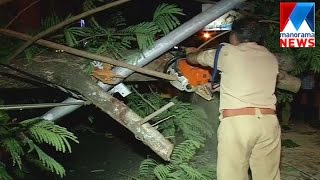 Tree fall down onto road in Kozhikode  | Manorama News