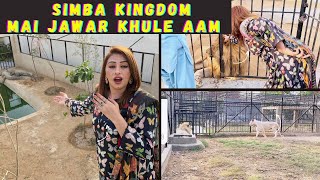 Simba kingdom Karachi mai itne sare shair 😳🫣