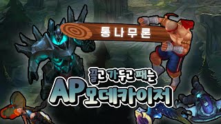 캐리가 가능한 서폿 AP 모데카이저 서폿