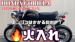 【48日目】ゴリラのエンジン始動!ついに火入れ!の巻 #ゴリラ