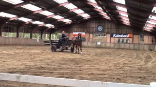 Paard en Coach - Mennen(2) met Chris Irwin