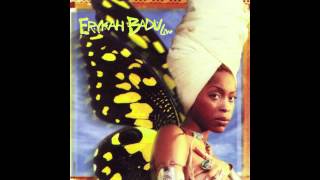 Erykah Badu - Boogie Nights/All Night (Live)