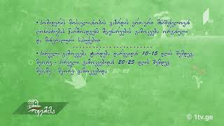 #უკეთრომაკეთო პომიდვრის მოვლა
