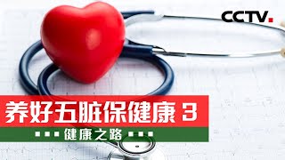 心烦 急躁 易上火？教你三个养心好方法！20240312 养好五脏保健康 3 |《健康之路》CCTV科教