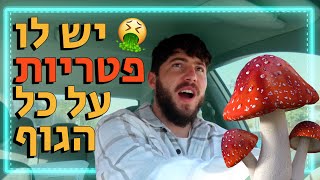 מאיפה הוא מביאי את החרא הזה כל פעם ?!