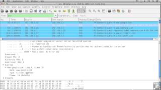 TCP/IP Tutorial | DNS Protocol