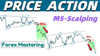 Most Profitable & Simple 5 Minute Forex Scalping Strategy || Price Action Scalping Trading System