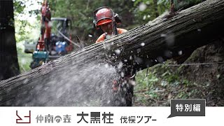 仲南の森 大黒柱伐採（特別編） 2022年10月10日（月・スポーツの日） ／ 2022年11月3日（木・文化の日）