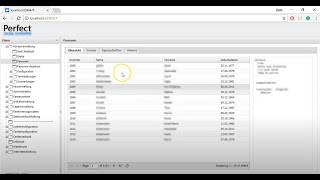 Converted WinForms UI to Web (ExtJS)
