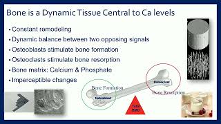 Understanding Physical Activity and Bone Mineral Density