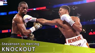 Shakur Stevenson vs Jamel Herring - Full Fight Highlights