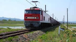 列車番号4075　EF510-6　羽越本線（岩船町～村上）＞60P　「岩船ストレート通過。」