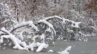 A Surreal Canoe Ride in the Snow 🛶