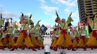 第19回YOSAKOIさせぼ祭り 山口大学よさこいやっさん！！