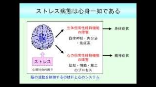 【Dr.喜多の漢方入門講座】五臓の働きとその異常（5/6）