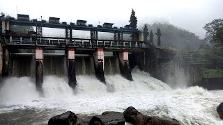 Bindu Dam || Jaldhaka river