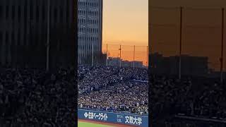 セ・リーグ開幕戦 夕日と中日応援団 #中日ドラゴンズ #中日応援団#プロ野球 #開幕戦 #明治神宮野球場