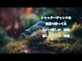 雨屋（あめや）【neutrino aiめろう ｵﾘｼﾞﾅﾙ曲】