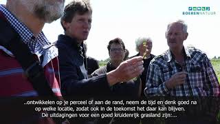 Kenniskring open grasland: Kruidenrijk grasland