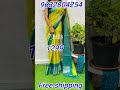 cj fashion collection 10 latest sarees collection fancysarees celebrity sarees collection 9632804254