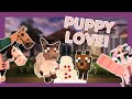 naming my new dog and having a doggy wedding! Minecraft: SWEM RRP