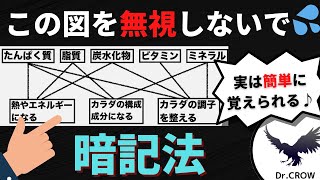 【勉強法】並べ替えるだけ‼︎2度と忘れない五大栄養素と働きの覚え方