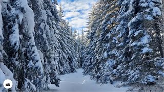 Evadare de weekend: vârful Prejba, munții Lotrului