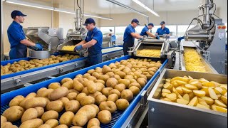 Inside the World of Potato Farming and Production – Millions of Tons Annually