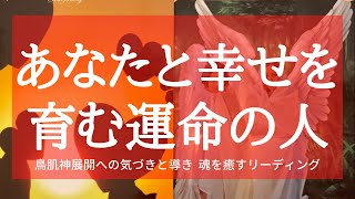 あなたと幸せを育む運命の人🌈どんな人🌈あなたとあの人の愛のかたち🌈二人の未来🌈タロット&オラクル  魂を癒すリーディング