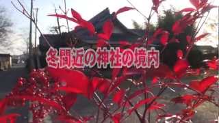 30秒の心象風景2476・紅葉に赤い実～ナンテン～