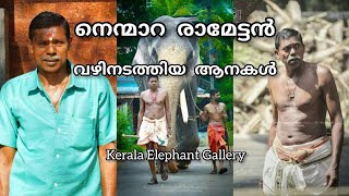 നെന്മാറ രാമേട്ടൻ വഴിനടത്തിയ ആനകൾ | nemmara ramettan Vazhinadathiya Aanakal