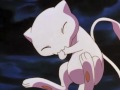 mewtwo and mew break