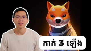 ត្រីបាឡែនកំពូលទិញកាក់ Shiba Inu, Polygon និង Decentraland