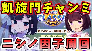 【#ウマ娘/凱旋門チャンミ 】ニシノフラワー因子周回！青3赤3狙う！【#新人vtuber /透玉白夏】