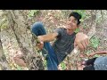 😱🔥ଜଙ୍ଗଲ ଭିତରେ ଅଜଣା ଜୀବ 😯 forest camping🍄24 hour in forest odiacomedy myfirstvlog