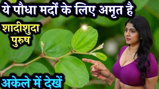 ये पौधा आपको 100 घोड़ो का शक्ति प्रदान करता हैं | Plant Benefit vastu tips | Spiritual Tree