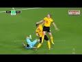 Wolves 1 Newcastle 1 Premier League Highlights & All Goals (11 02 2019)