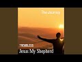 Jesus My Shepherd The Journey