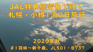 JAL特典航空券で行く、札幌・小樽1泊2日。＃１ 羽田～新千歳、JL501・B737【ＫＯ旅ちゃんねる】大人旅