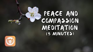 Peace and Compassion Meditation (5 min) | Sister True Dedication