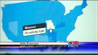 Google Tracks Flu Symptoms Online