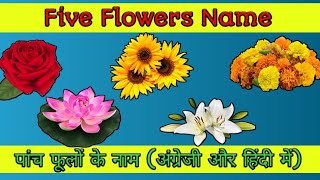 Five flowers name | पांच फूलों के नाम । अंग्रेजी और हिंदी में with picture