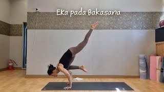 Eka Pada Bakasana (에카 파다 바카사나)