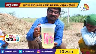 పామారోజా సాగులో అధిక లాభాలు | Profits in Pamaroja Farming | Pamarose Cultivation Telugu | 10TV Agri