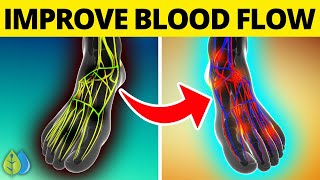 Top 8 Ways to Improve Blood Flow To Legs And Feet | Improve Blood Circulation in Legs