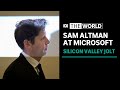 OpenAI appoints new boss as Sam Altman joins Microsoft | The World