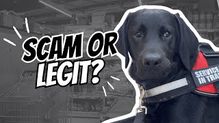 Service Dog Certification Online - Real or Scam?