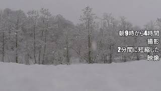 積雪の変化を撮影　4時間を2分に短縮した動画