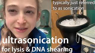 Ultrasonication (often just called \