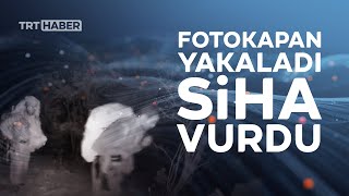 Fotokapana yakalanan teröristleri SİHA vurdu